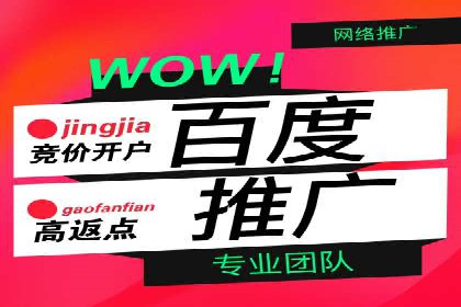 百度推广托管的智慧：一则提升品牌形象的案例
